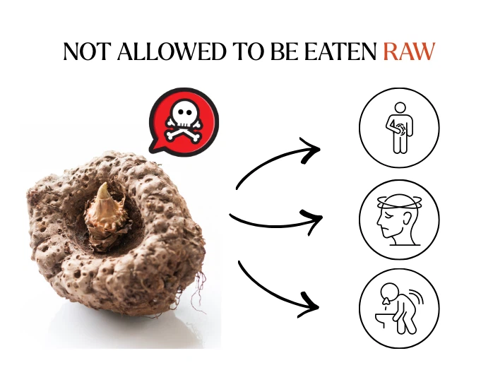 raw konjac raw konjac